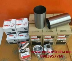 phu tung dong co may phat